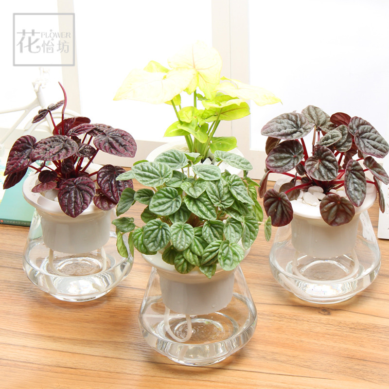 �������辰 ˮ��3