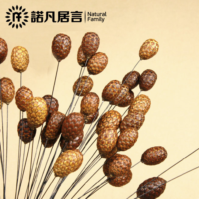 ŵ����������������������