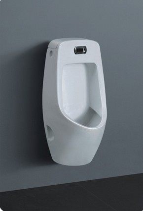 ��˹����һ�廯�մ�С����1752