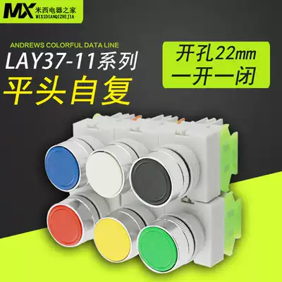 Self-reset button switch LAY37-11BN(Y090) flat-head button without lock Ф mm