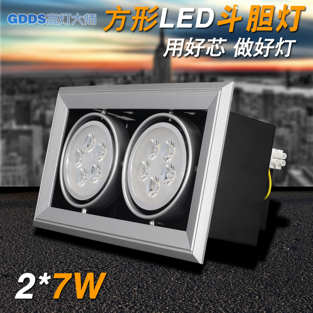 Double head LED rectangular ceiling lamp Double head lamp lamp full black bean bile lamp