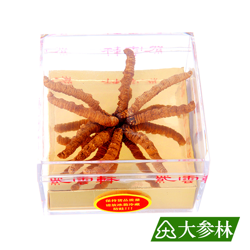 冬虫夏草(紫云轩 王中王级) 5g 虫草