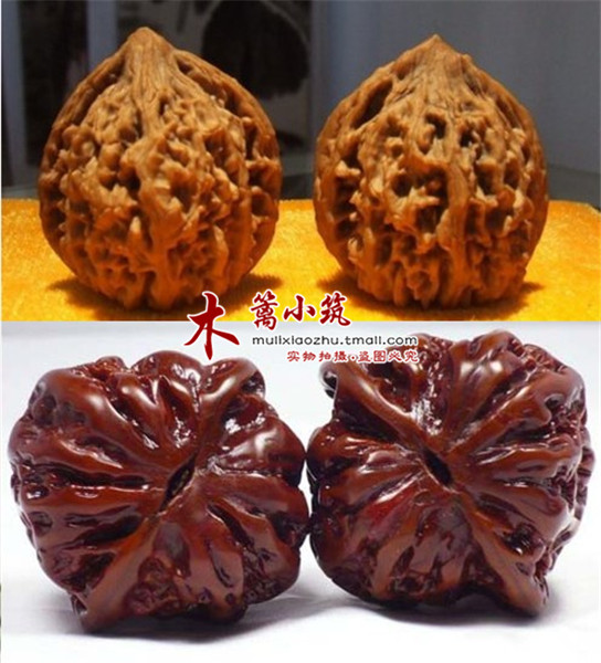 【鸡心核桃】文玩核桃/麻核桃/四座楼/满天星狮子头等核桃苗