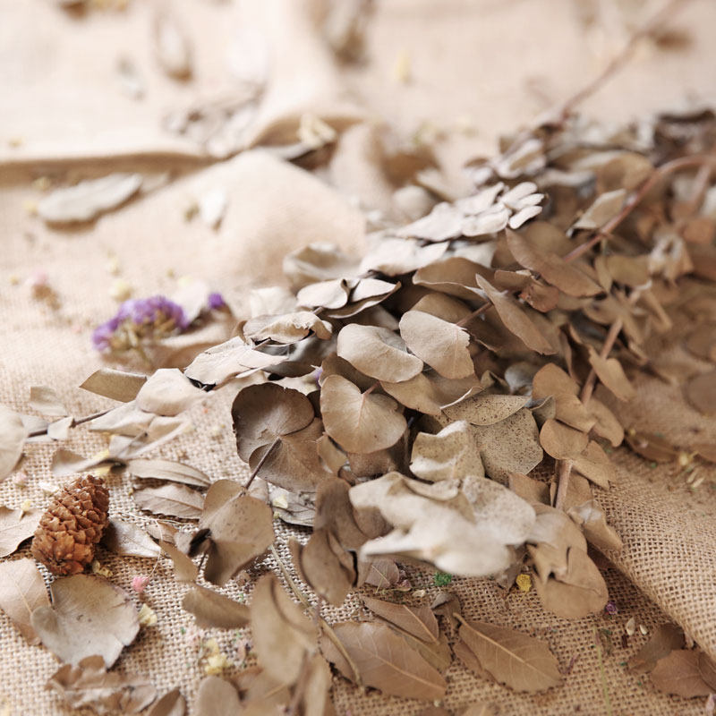 �ԡ�ױ��Ȼ����Ҷ��֦װ��