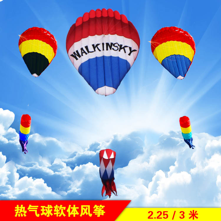 Large New Easy To Fly Skywalkers 2 25 m 3m Hot Air Balloon Software Running Moon Birds Kite 3 m