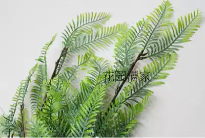 Simulation of green plants Lepycedar tropical plant fake Cedar Sequoia leaves shooting background decoration sales