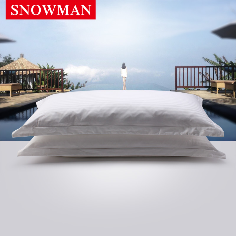 snowman/˹ŵ�����Ǽ��Ƶ�������SZXE15001