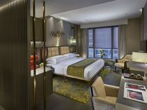 Honghua Oriental Hotel L450 Superior Room (King Bed)