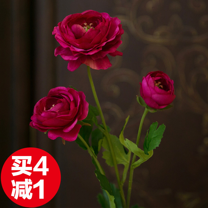 ֪���Ҿ���Ʒ���滨LL-009