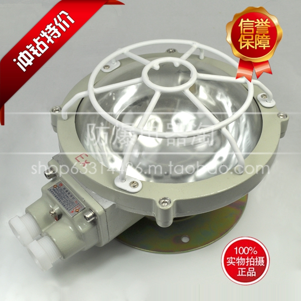 Explosion-proof ceiling lamp BXL-100 ceiling-type explosion-proof lamp