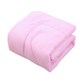 Beauty quilt core massage parlor body bed cover supporting special thickened winter quilt 120*180 quilt core
