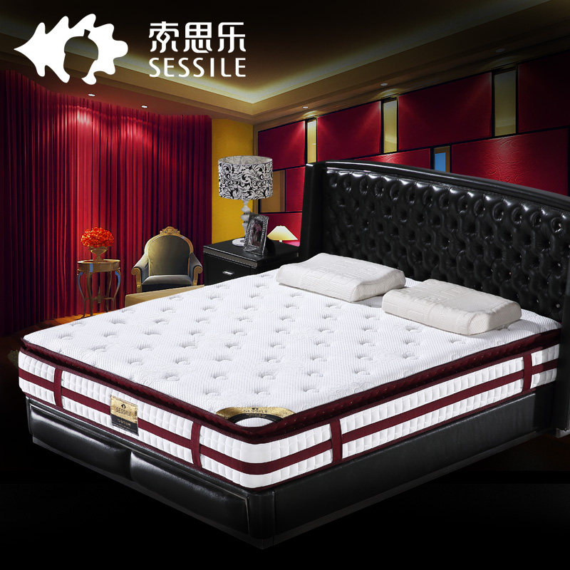 ��˼����Ȼ�齺������ʤ����22