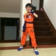 Halloween Trẻ em Bé trai Trang phục Vua khỉ Trang phục Giáng sinh Trang phục luyện tập Bảy viên ngọc rồng Trang phục biểu diễn võ thuật cho trẻ em - Trang phục
