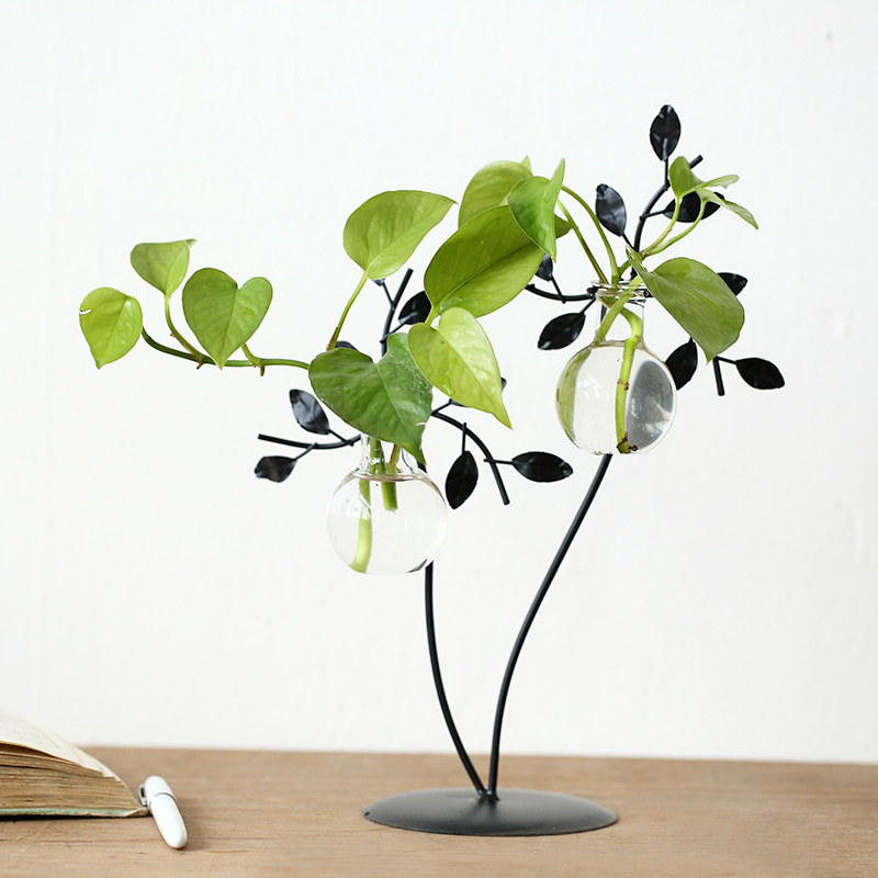 ���ι���ֲ�ﲣ��ƿ150573