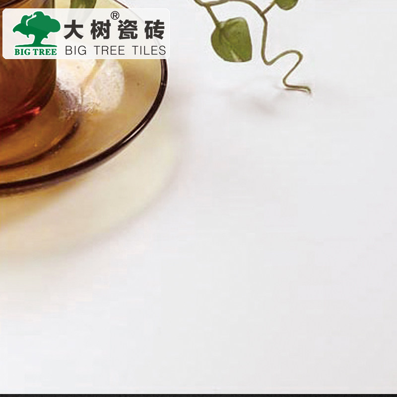 ������Լ�ִ���שDS30000