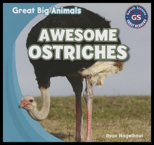 【预售】Awesome Ostriches