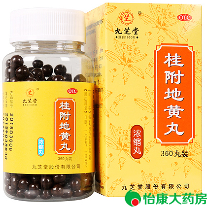 九芝堂 桂附地黄丸 360丸 补肾温补肾阳 腰膝酸软小便不利