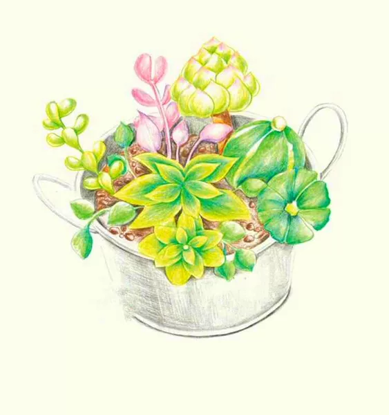 Товары от wfwyn08