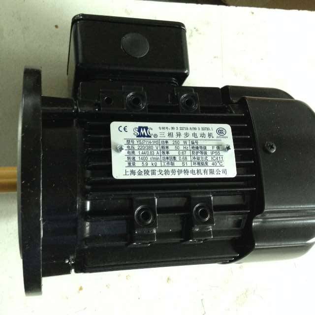 YSJ7114-1HS 250W 380 220V 1400RPM Shanghai Jinling Regebroyt Motor