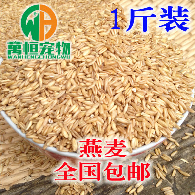 Special quality oatmeal rice Bird feed Bird food feed Bird food food 500g pack