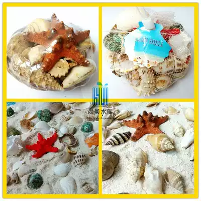 Fish tank decoration landscaping Conch shell platter White coral stone package Turtle tank aquarium decoration bottom sand