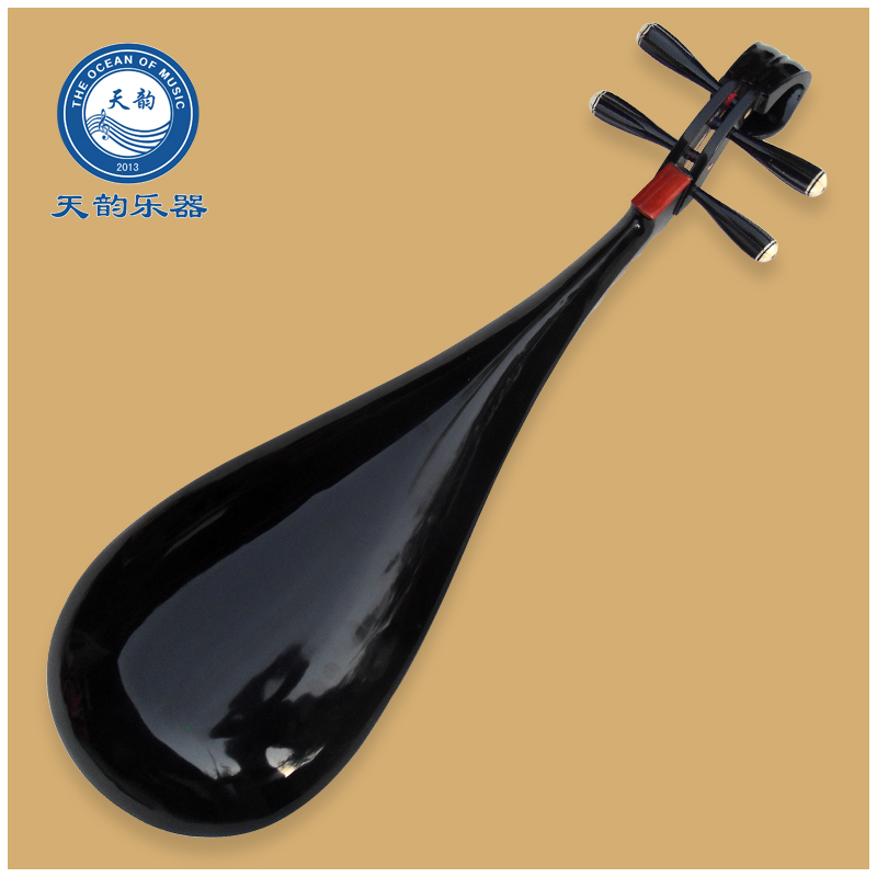 Professional special adult pipa hardwood students beginners entry practice national plucked piano musical instrument factory direct sales