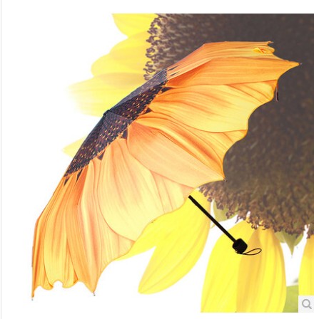 Free Shipping, Ultra-Light Sunflower Umbrella, Chrysanthemum Umbrella, Long-Handled Umbrella, 70% off Sun Protection Umbrellas, Sunshade Umbrella, Folding Umbrella, Rain or Shine Umbrella