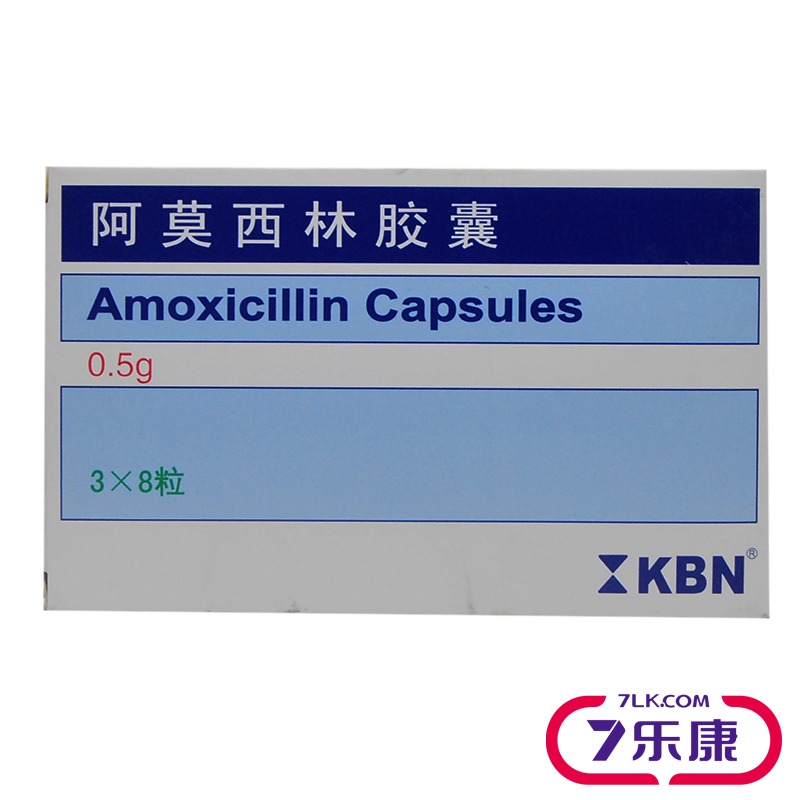 KBN 阿莫西林胶囊 0.5g*24粒/盒