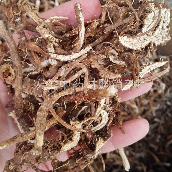 Chaihu Chinese herbal medicine Chaihugen wild selected deheated table deheated liver to de-depress the rise of yang gas