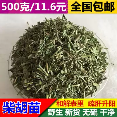 Selected Chinese herbal medicines Bupleurum seedlings 500 grams spring Bupleurum new bamboo leaves Bamboo leaves Bamboo Leaves Bupleurum seedlings without sulfur fragrance Bupleurum seedlings