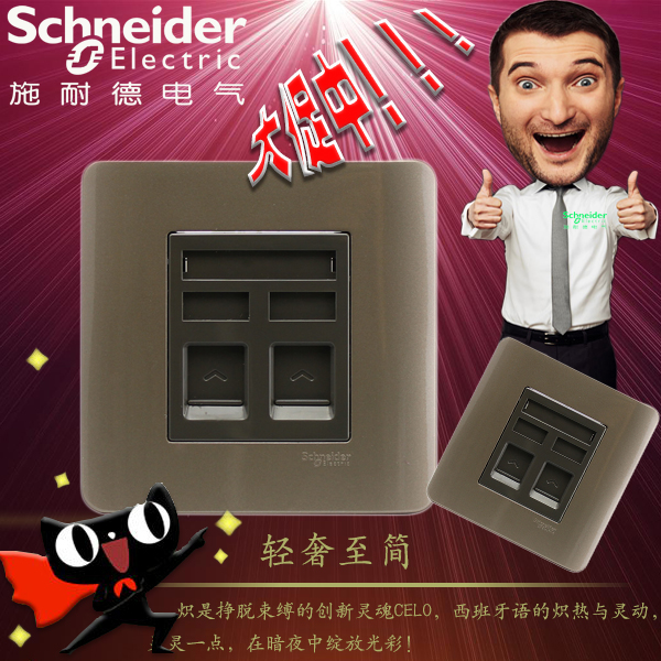 Schneider Switch Socket Light Point Series Duplex Phone Voice double Phone 86 Type of panel Gtone brown