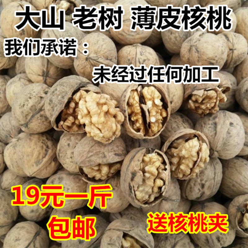 New Cargo Paper Leather Thin Leather Walnut Old Tree Original Taste Pregnant Woman Fresh Stage Raw Walnut Bulk 500g Shanxi Teryield