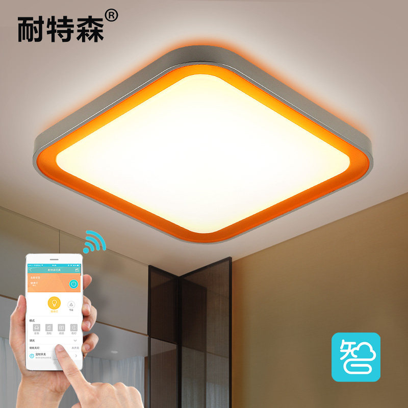 ����ɭ�ִ���Լled������24wx013