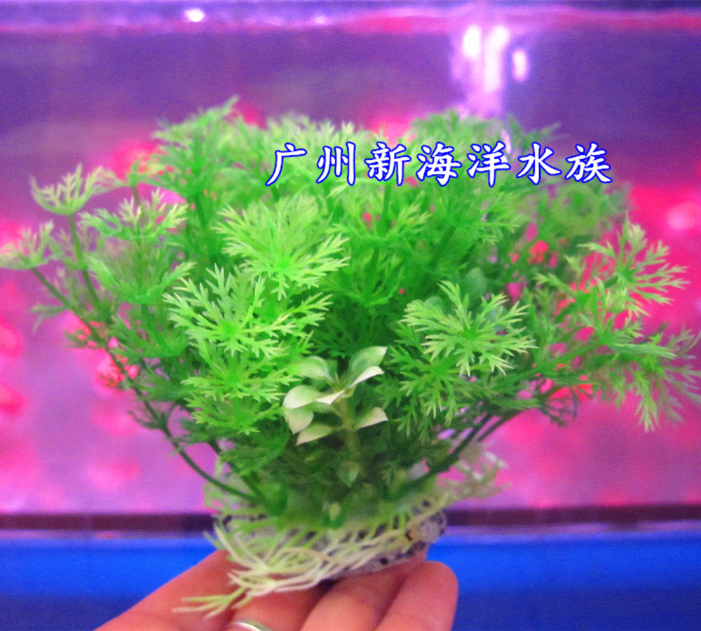 Water grass full RMB68  fish tank Aquarium Fake Mountain View Decoration Emulation Fake water grass green pine cypress leaf shape