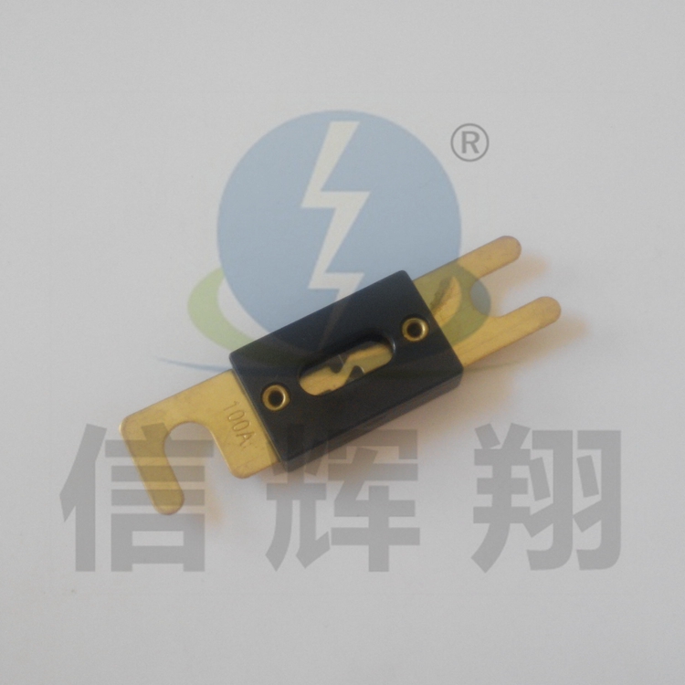 Bolt-type car fuse fork bolted large flat plug-in car fuse 100A 32V