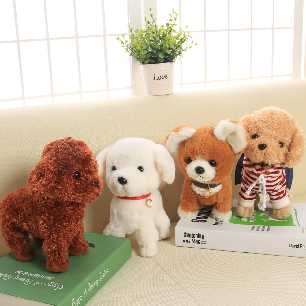 ƤƤ������ż