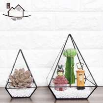 Glass cover geometric ornaments eternal flower room succulent plants micro landscape creative ecological bottle home craft accessories