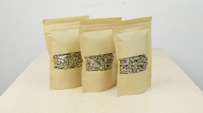 Moss Microscape Eco Bottle material Private ground Multi-meat plant soil Cultivation Earth Light Stones water Tweed trophic soil