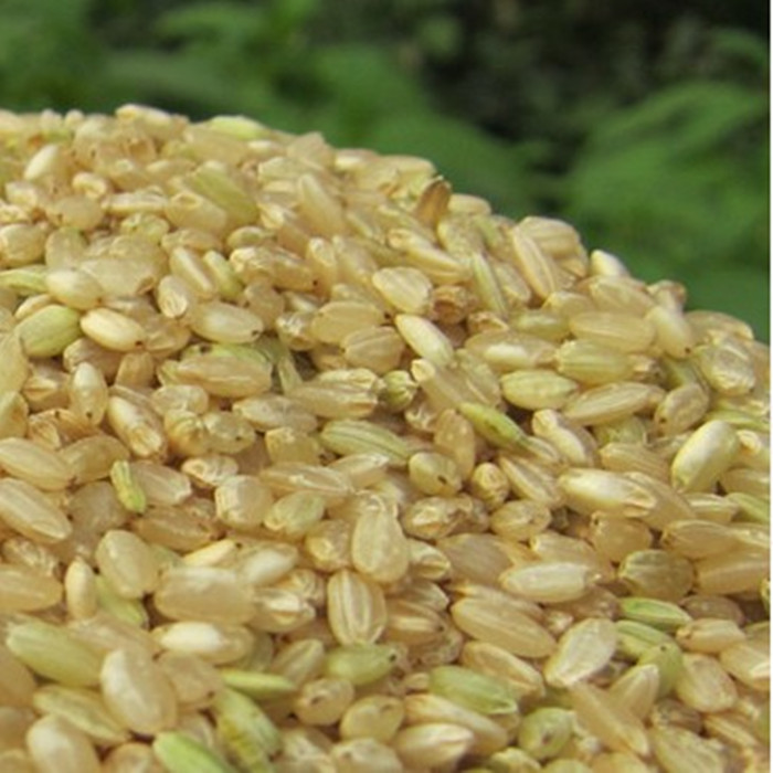 New to shell rice brown rice brown rice brown rice New brown rice brown rice cereal 500G