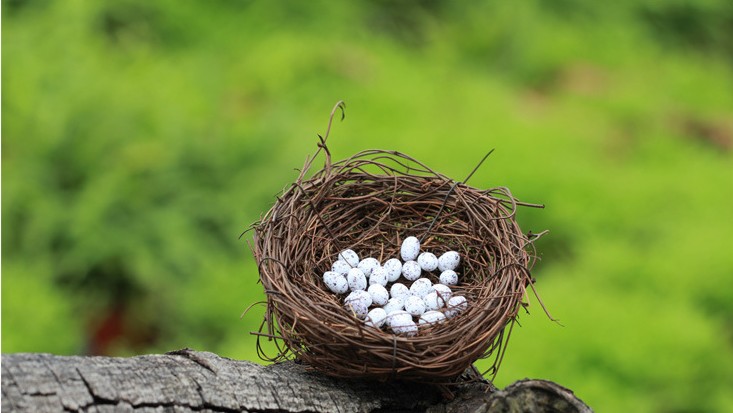 (Mini Bird Nest Bird Eggs) Model Egg Micro Landscape Fabrication of Ornament Wava House Accessories Trim