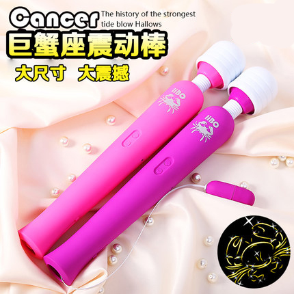 丽波巨蟹座女用自慰器大号充电震动棒按摩棒成人情趣性用品GPT