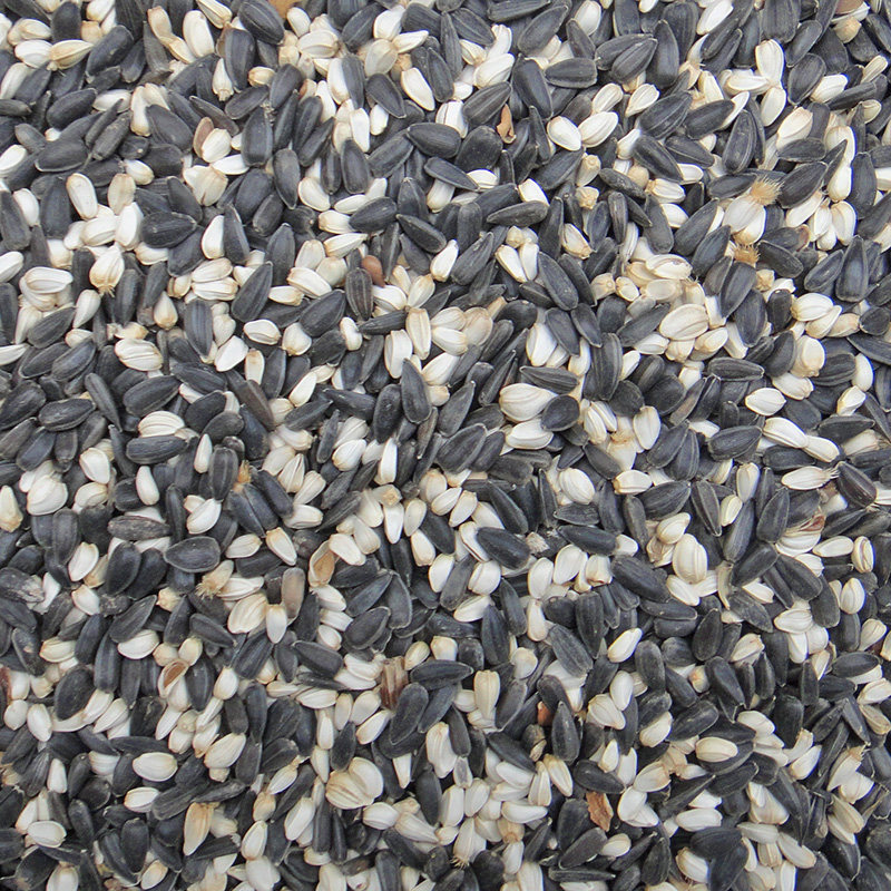 Black pearl small melon seeds white flower white melon seeds 2 Hop 1 mixed oil sunflower seed parrot bird food