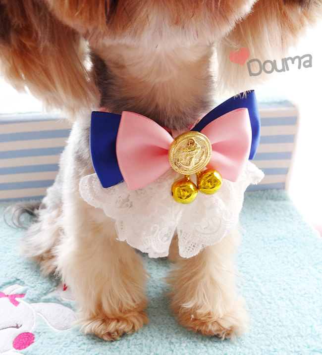 Extravagant fan super cute pet bell collar dog teddy Yorkshire collar adjustable