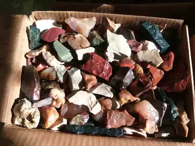 10 yuan Alashan Gobi agate wind strange stone original stone bonsai gardening fish tank multi-meat practice shape