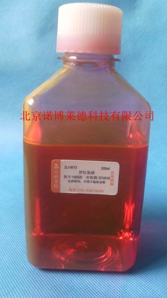 中杉金桥  伊红染液 500ml  ZLI-9613