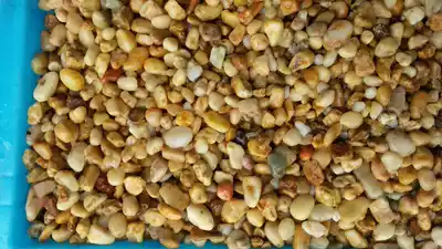 Natural small stone water washing stone trash can fine sand fish tank Stone yellow small stone