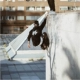 [Không còn bổ sung] Quần parkour mùa đông GUP cộng với quần nhung dày nhung