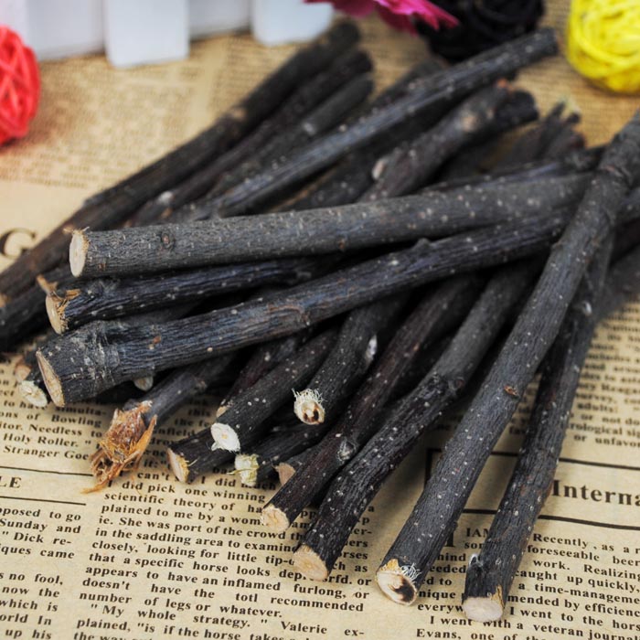 Small pet chinchilla rabbit guinea pig hamster golden bear molar fresh apple branch can replace molar wear-resistant