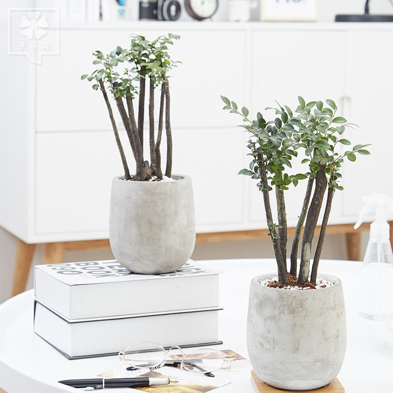 ���������Ժڹǲ�����