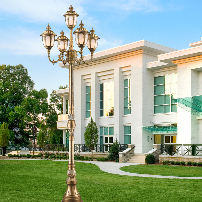 ˶��ŷʽͥԺ��ƺ��SL9016